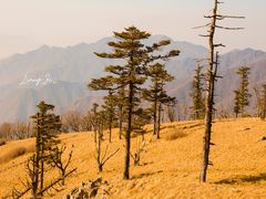 -秦岭风景区