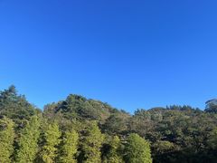 -大围山国家森林公园