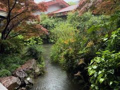 -中国茶叶博物馆(双峰馆区)