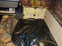 -湘芙蓉·湖南菜(椒江店)