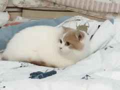-后宫私房菜(汇客美食娱乐广场店)