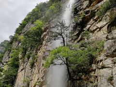 -青峰峡国家森林公园