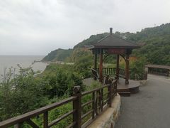 -大鹿岛