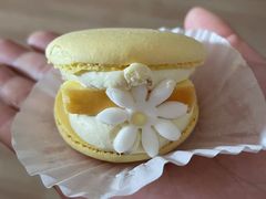 -好利来(鲁谷店)