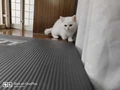 -仁华宠物医院(青羊店)