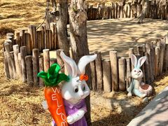 -水上乐园·欢乐世界