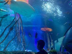 -沈阳海洋探索中心