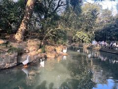 -兰亭风景区