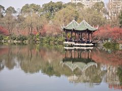 -棠湖公园