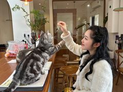 -有猫主题·治愈系猫咖(曾厝垵店)