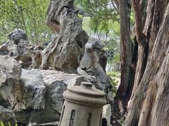 -无锡蠡湖国家湿地公园-蠡园
