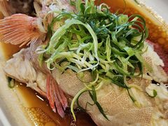 葱油蒸东星斑-欢乐海岸美食联盟