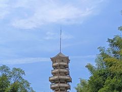 -漫山居私汤民宿全竹宴