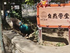 -保定市动物园