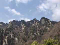 -王顺山国家森林公园