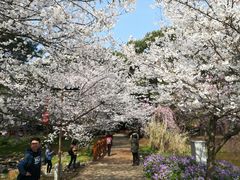 -湖锦酒楼·32年地道湖北菜(光谷店)