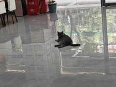 -贝利宠物医院·骨科·眼科·肿瘤转诊中心(南坪诊疗中心)