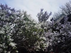 -恭王府博物馆