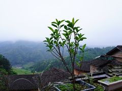 -云水谣景区