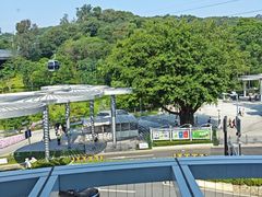 -点都德(广州白云山景区南门店)