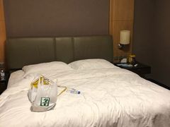-北京长白山国际酒店(鸟巢店)