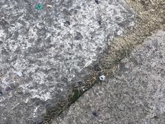 -心无尘茶餐馆(径山村店)