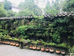 -青城甲(青城山店)