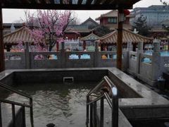-北京九华山庄会展酒店