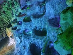 -颛顼龙洞旅游景区