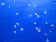 -沈阳海洋探索中心