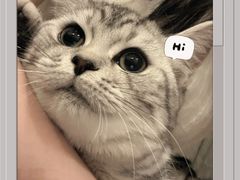 -美联众合24小时·皮肤科·外科·全科诊疗中心(华苑分院)