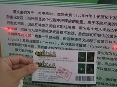 -青山公园萤火虫科普展