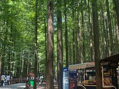 -山王坪喀斯特国家生态公园