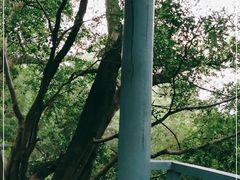 -乌山风景区