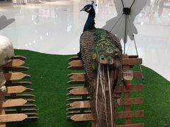 -万达广场(盐城盐都店)