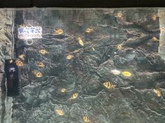-苏州海洋馆