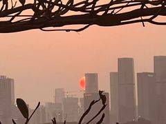 -福田红树林生态公园