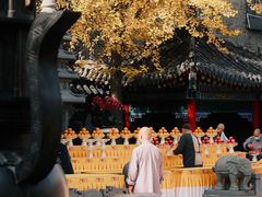 -长安寺