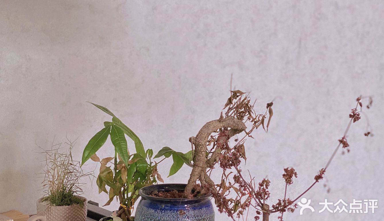 通州的热门咖啡☕我又来啦！！！