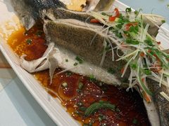 -新疆兵团食府清真(马连道店)