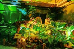 -恐龙探索乐园(磁器口店)