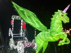 -杭州湾海上花田景区