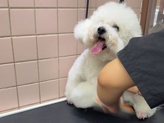 -FAELING PETS美天灵宠物(富力广场店)