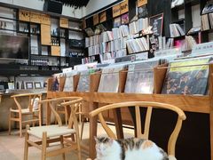 -黑胶星球(华发中城商都店)