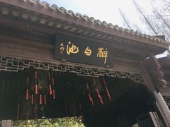 -上海醉白池公园