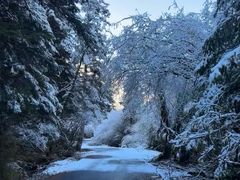-白马王朗自然风景区