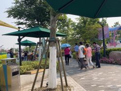 点击看大图 -季高兔窝窝亲子园(上海薰衣草公园店)