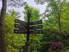 -铁山坪森林公园