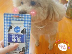 -精灵岛宠物生活馆(洪泽花园店)