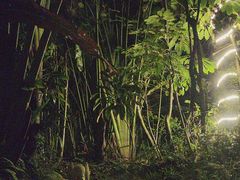 -碧桂园润杨溪谷温泉酒店